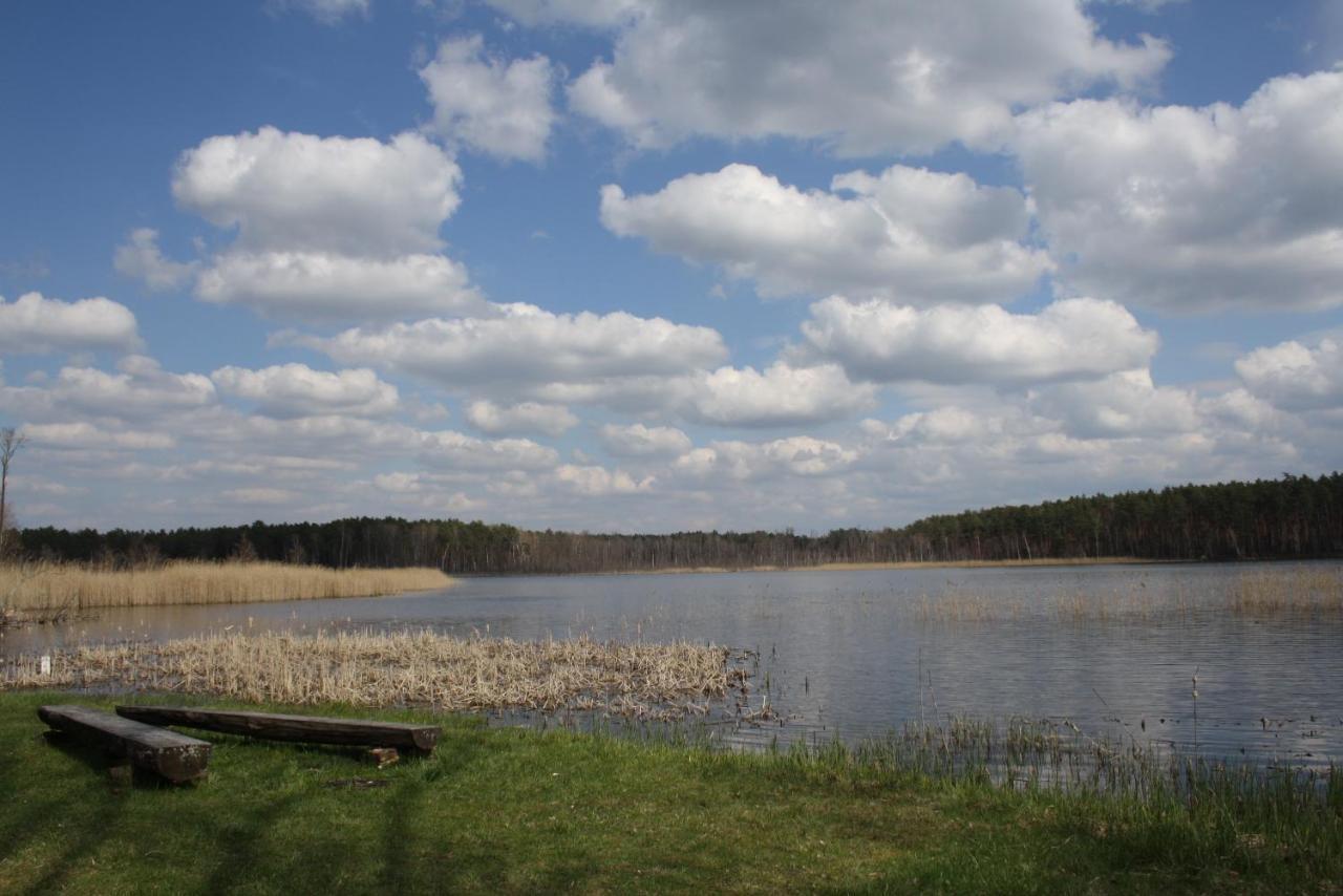 Villa Gajowka Zlobek Zlobek  Esterno foto
