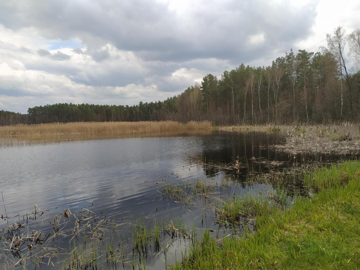 Villa Gajowka Zlobek Zlobek  Esterno foto
