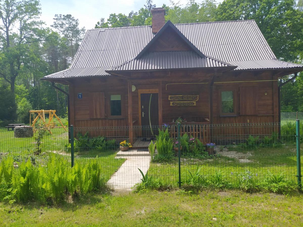 Villa Gajowka Zlobek Zlobek  Esterno foto