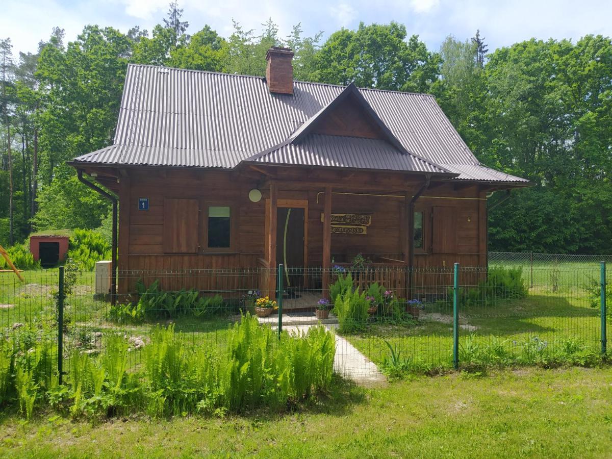 Villa Gajowka Zlobek Zlobek  Esterno foto