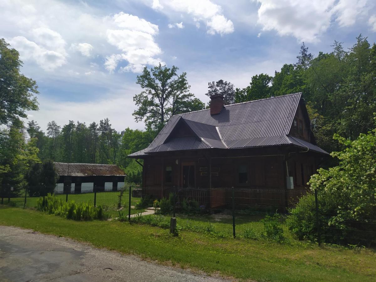 Villa Gajowka Zlobek Zlobek  Esterno foto